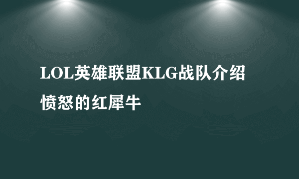 LOL英雄联盟KLG战队介绍 愤怒的红犀牛