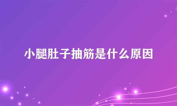 小腿肚子抽筋是什么原因