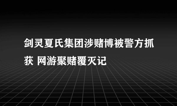 剑灵夏氏集团涉赌博被警方抓获 网游聚赌覆灭记