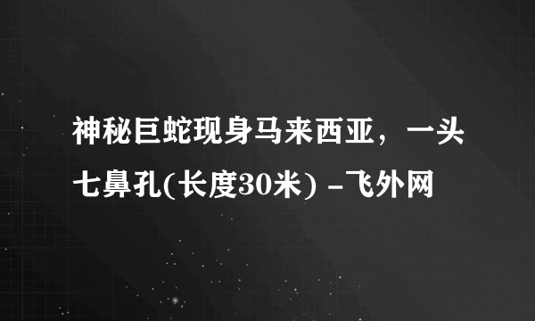 神秘巨蛇现身马来西亚，一头七鼻孔(长度30米) -飞外网