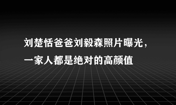 刘楚恬爸爸刘毅森照片曝光，一家人都是绝对的高颜值 