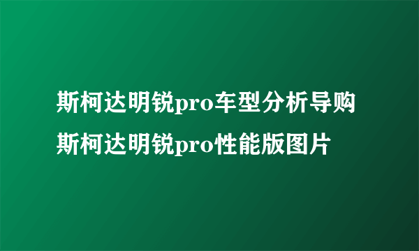 斯柯达明锐pro车型分析导购 斯柯达明锐pro性能版图片