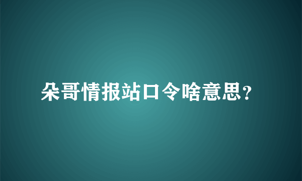 朵哥情报站口令啥意思？