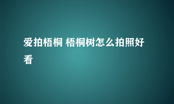 爱拍梧桐 梧桐树怎么拍照好看