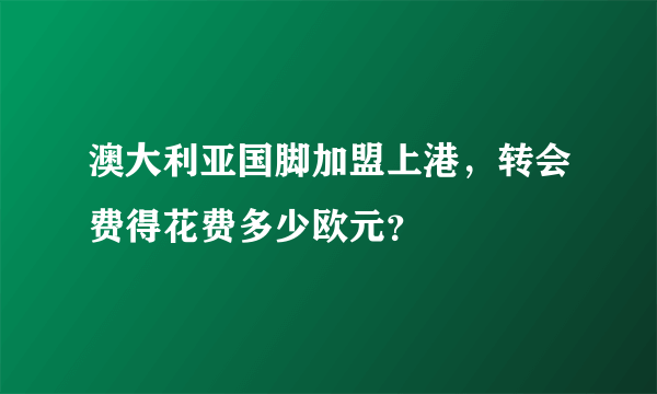 澳大利亚国脚加盟上港，转会费得花费多少欧元？