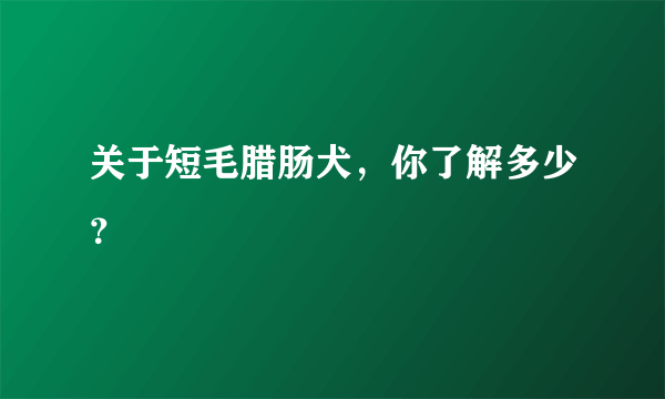 关于短毛腊肠犬，你了解多少？