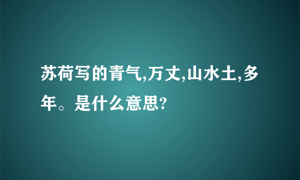 苏荷写的青气,万丈,山水土,多年。是什么意思?