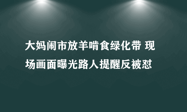 大妈闹市放羊啃食绿化带 现场画面曝光路人提醒反被怼