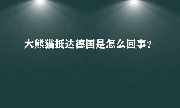 大熊猫抵达德国是怎么回事？