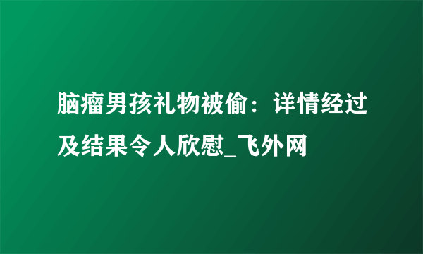 脑瘤男孩礼物被偷：详情经过及结果令人欣慰_飞外网