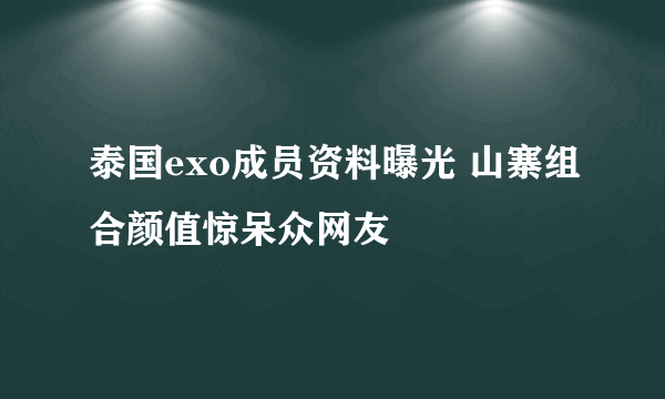 泰国exo成员资料曝光 山寨组合颜值惊呆众网友