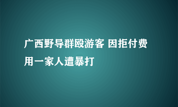 广西野导群殴游客 因拒付费用一家人遭暴打