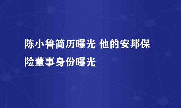 陈小鲁简历曝光 他的安邦保险董事身份曝光