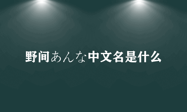 野间あんな中文名是什么