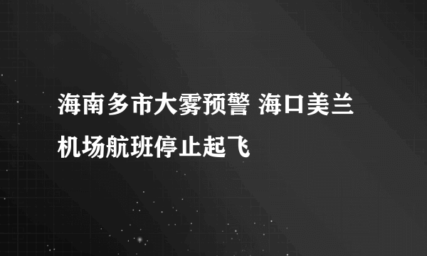 海南多市大雾预警 海口美兰机场航班停止起飞