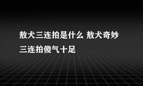 敖犬三连拍是什么 敖犬奇妙三连拍傻气十足