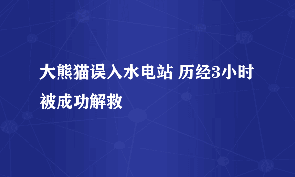 大熊猫误入水电站 历经3小时被成功解救