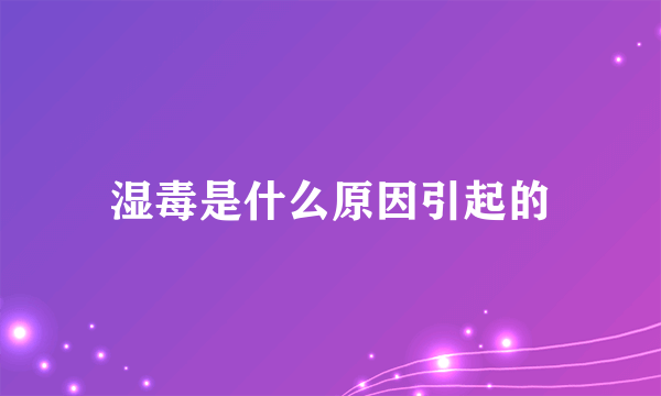 湿毒是什么原因引起的