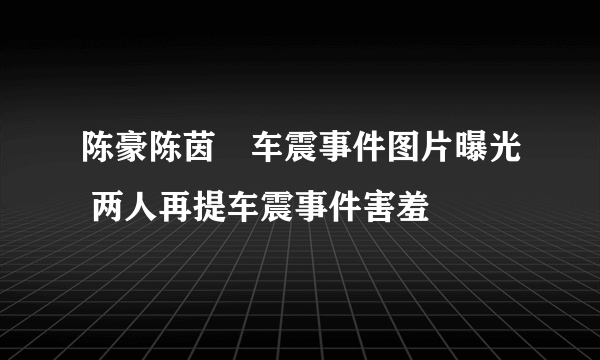 陈豪陈茵媺车震事件图片曝光 两人再提车震事件害羞