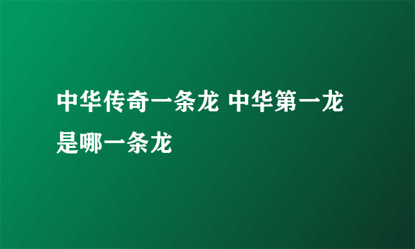 中华传奇一条龙 中华第一龙是哪一条龙