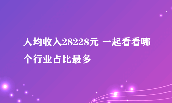 人均收入28228元 一起看看哪个行业占比最多