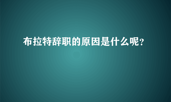 布拉特辞职的原因是什么呢？