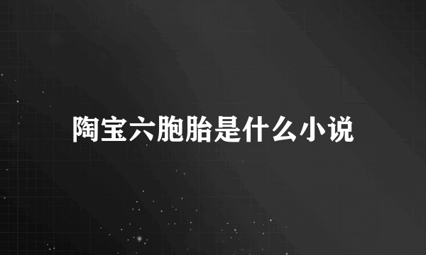 陶宝六胞胎是什么小说