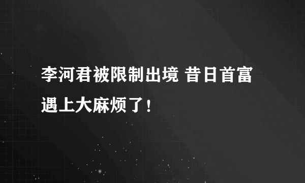 李河君被限制出境 昔日首富遇上大麻烦了！