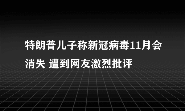 特朗普儿子称新冠病毒11月会消失 遭到网友激烈批评