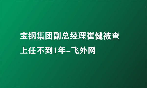 宝钢集团副总经理崔健被查 上任不到1年-飞外网