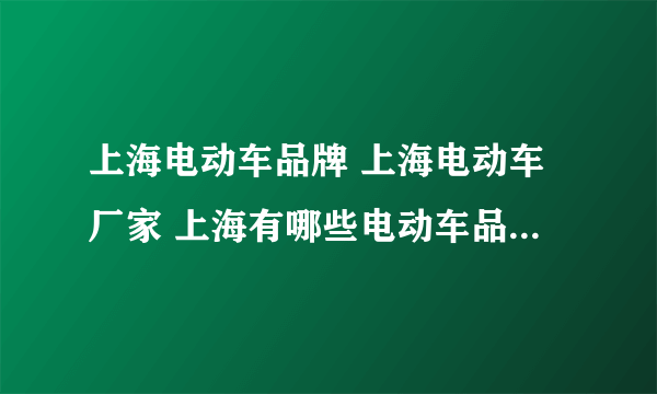 上海电动车品牌 上海电动车厂家 上海有哪些电动车品牌【品牌库】