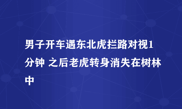 男子开车遇东北虎拦路对视1分钟 之后老虎转身消失在树林中