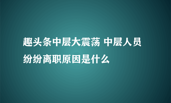 趣头条中层大震荡 中层人员纷纷离职原因是什么