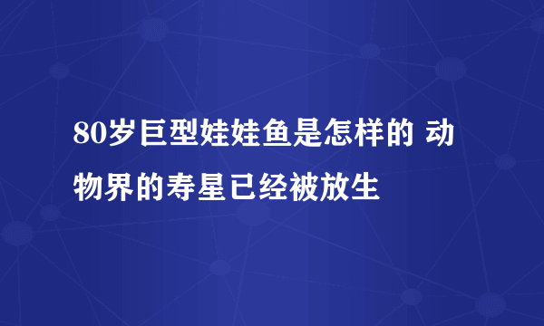 80岁巨型娃娃鱼是怎样的 动物界的寿星已经被放生