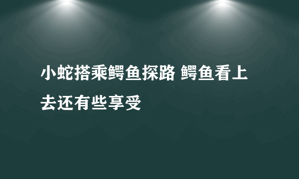 小蛇搭乘鳄鱼探路 鳄鱼看上去还有些享受