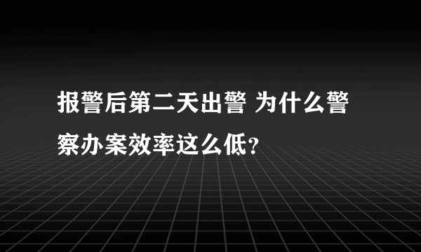 报警后第二天出警 为什么警察办案效率这么低？