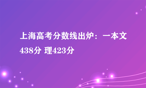 上海高考分数线出炉：一本文438分 理423分