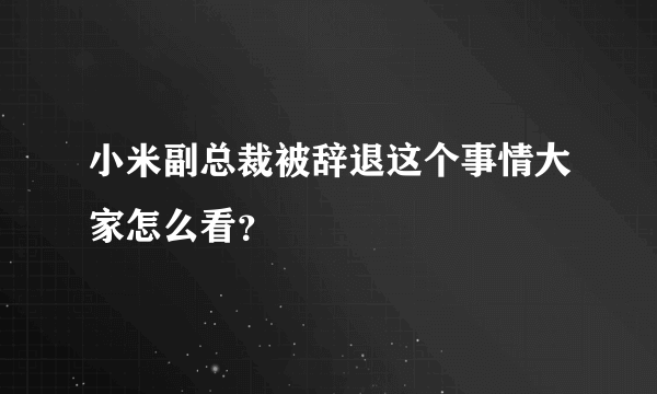 小米副总裁被辞退这个事情大家怎么看？