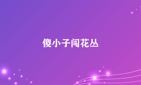 傻小子闯花丛