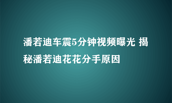 潘若迪车震5分钟视频曝光 揭秘潘若迪花花分手原因