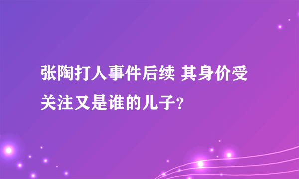 张陶打人事件后续 其身价受关注又是谁的儿子？