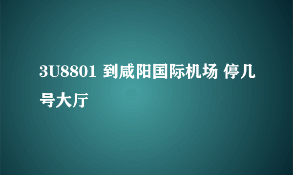 3U8801 到咸阳国际机场 停几号大厅