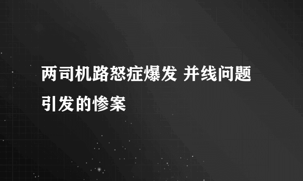 两司机路怒症爆发 并线问题引发的惨案