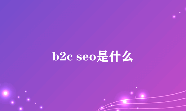 b2c seo是什么