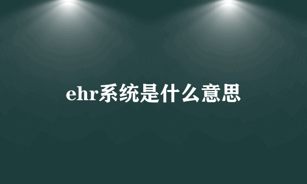 ehr系统是什么意思