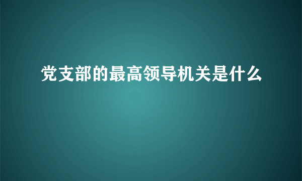 党支部的最高领导机关是什么