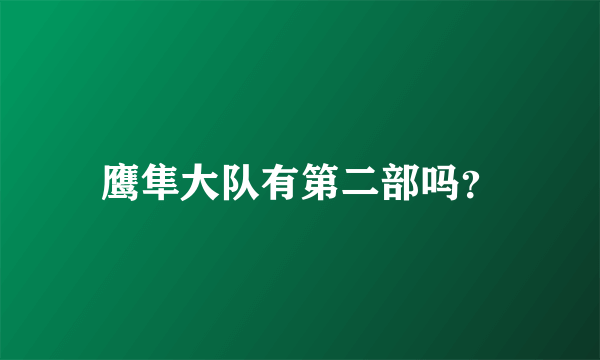 鹰隼大队有第二部吗？