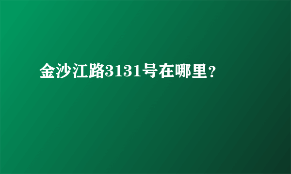 金沙江路3131号在哪里？