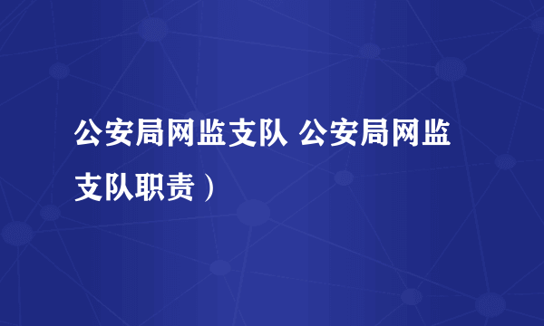 公安局网监支队 公安局网监支队职责）