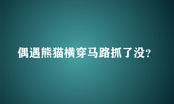 偶遇熊猫横穿马路抓了没？